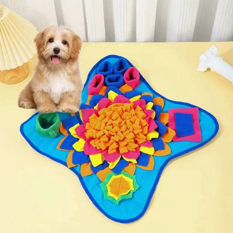 Pet Training Slow Feed Mat