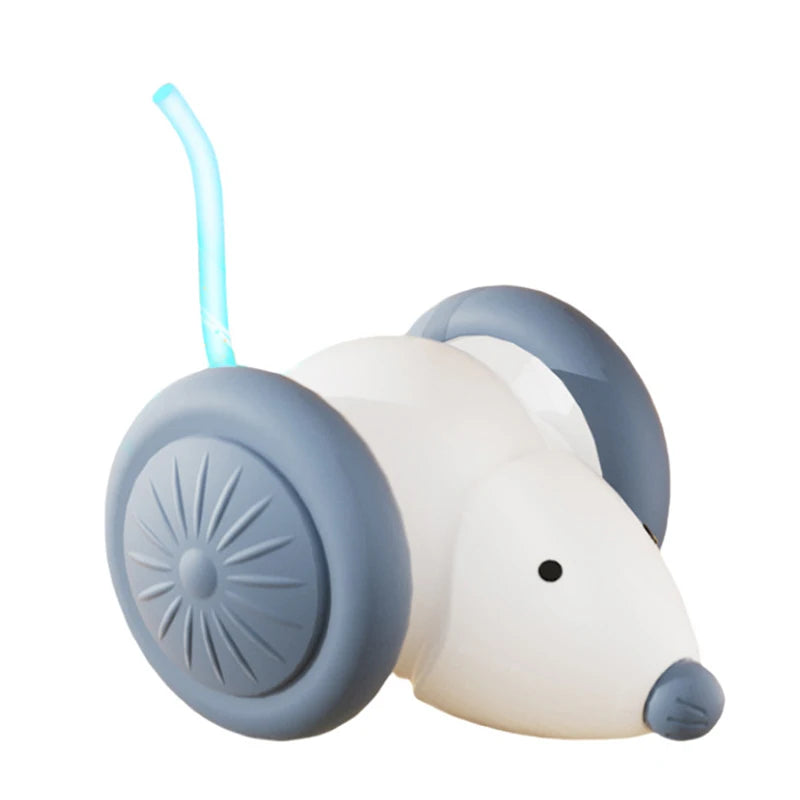 Rechargeable Mouse Chase Toy