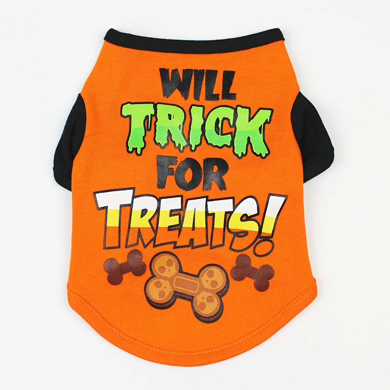 Collection of Pet Halloween Outfits