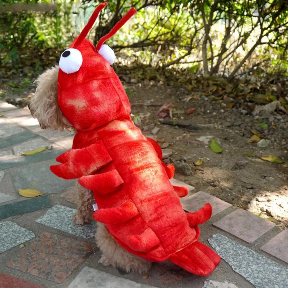 Pet Lobster Costume Cosplay