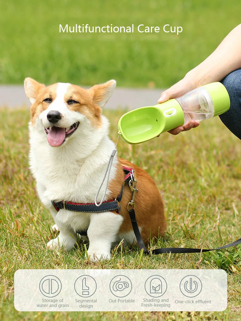 Portable Drinking Water & Food Bowl