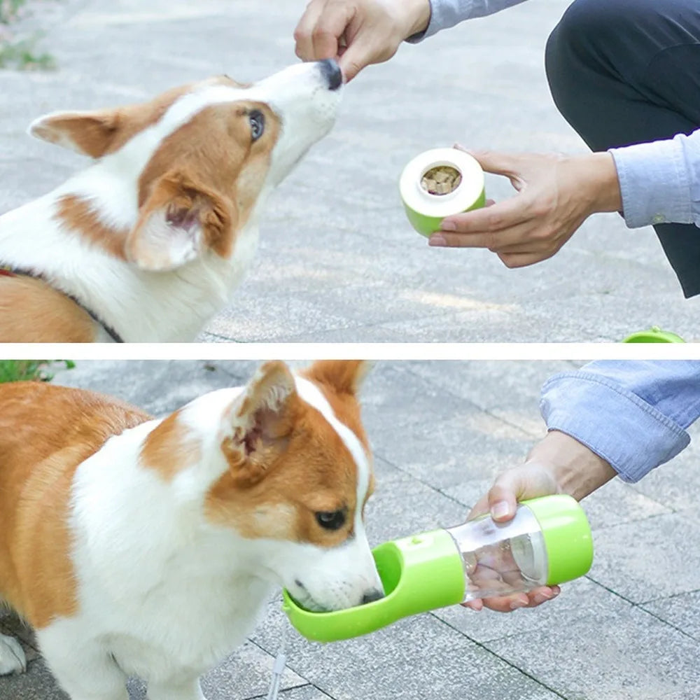Portable Drinking Water & Food Bowl