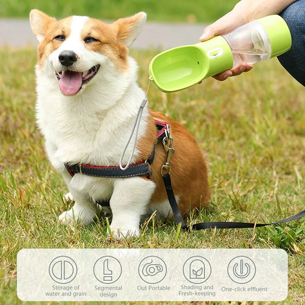 Portable Drinking Water & Food Bowl