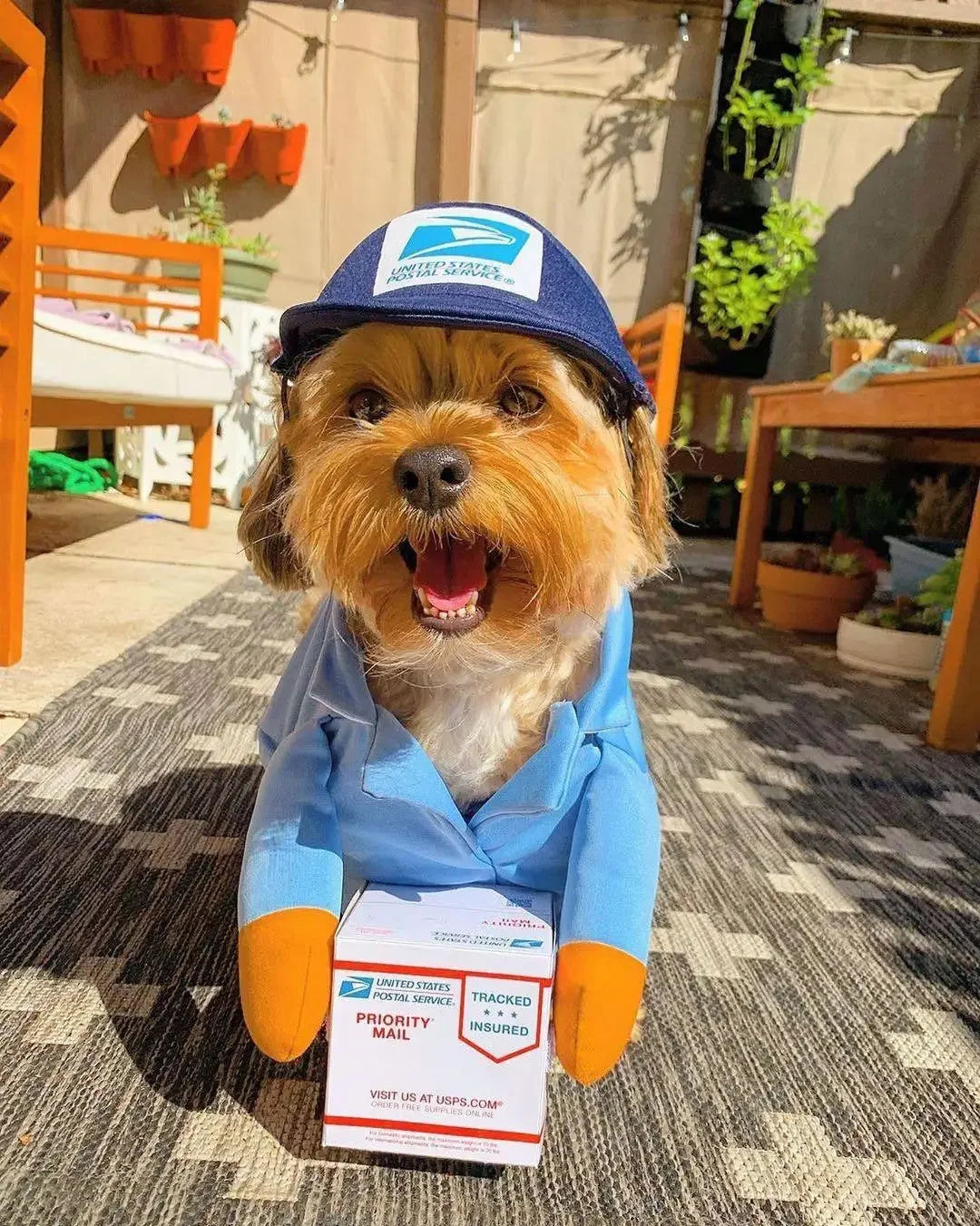 Dress Up- Pet Postal Outfit