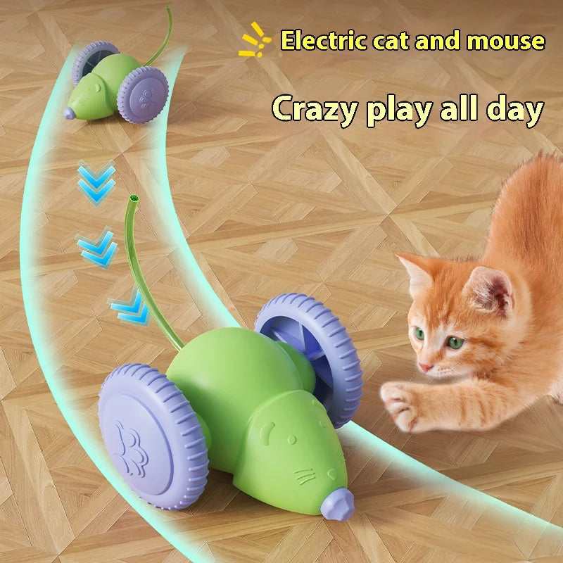 Rechargeable Mouse Chase Toy
