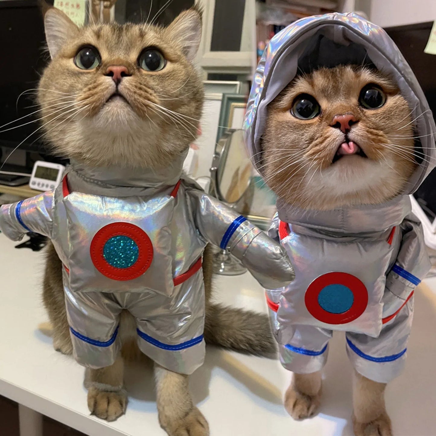 Funny Pet Astronaut Space Suit