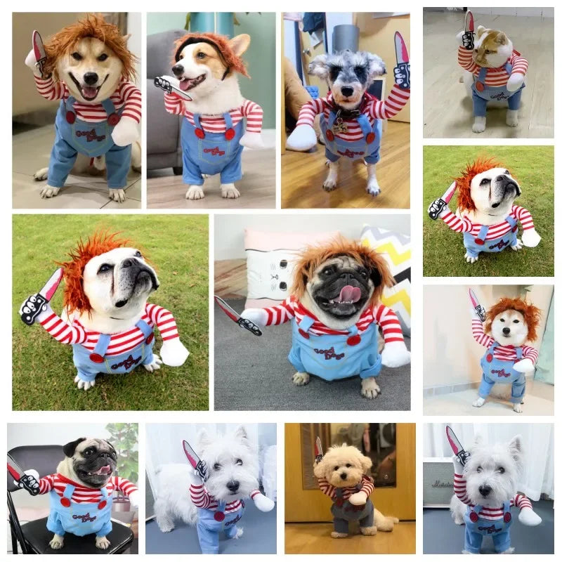 Funny Pet Costume & Cosplay