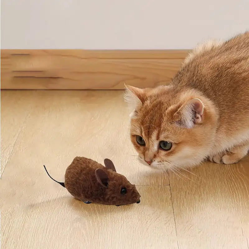 Pet Mouse Toy