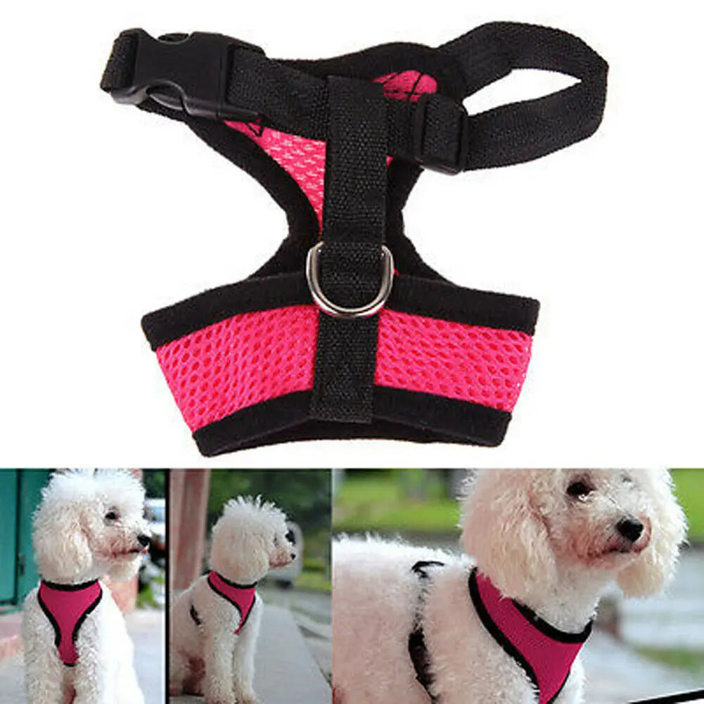 Dog Puppy Breathable Mesh Harness