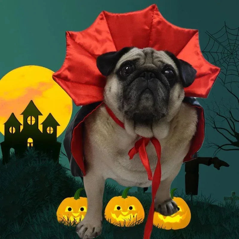 Vampire Cloak For Pet