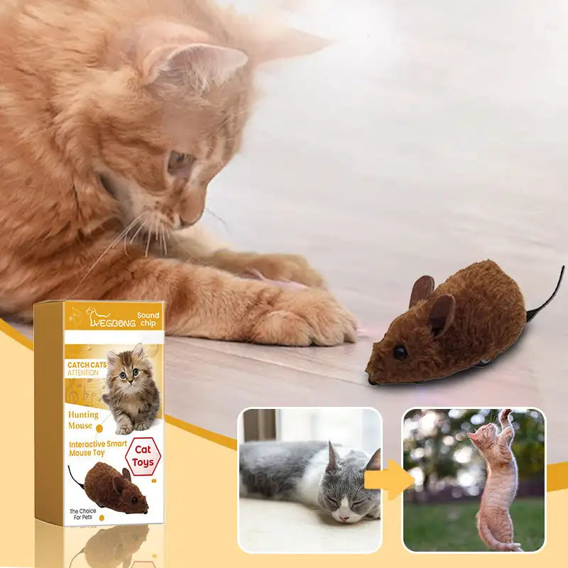 Pet Mouse Toy
