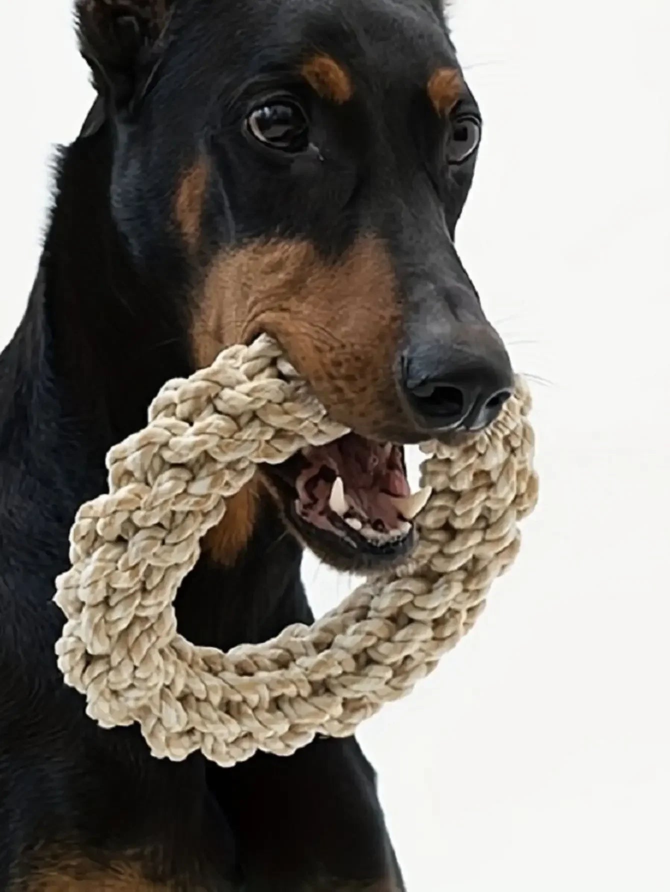 Pet Dog Rope Durable Chew & Tug Toy