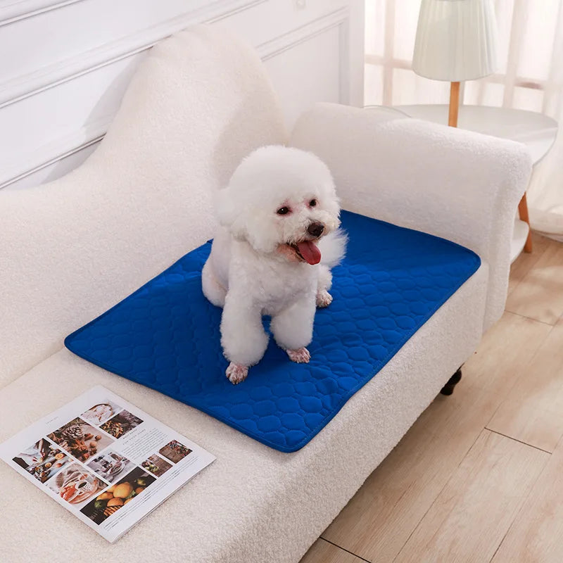 Reusable Absorbent Puppy Training Pad