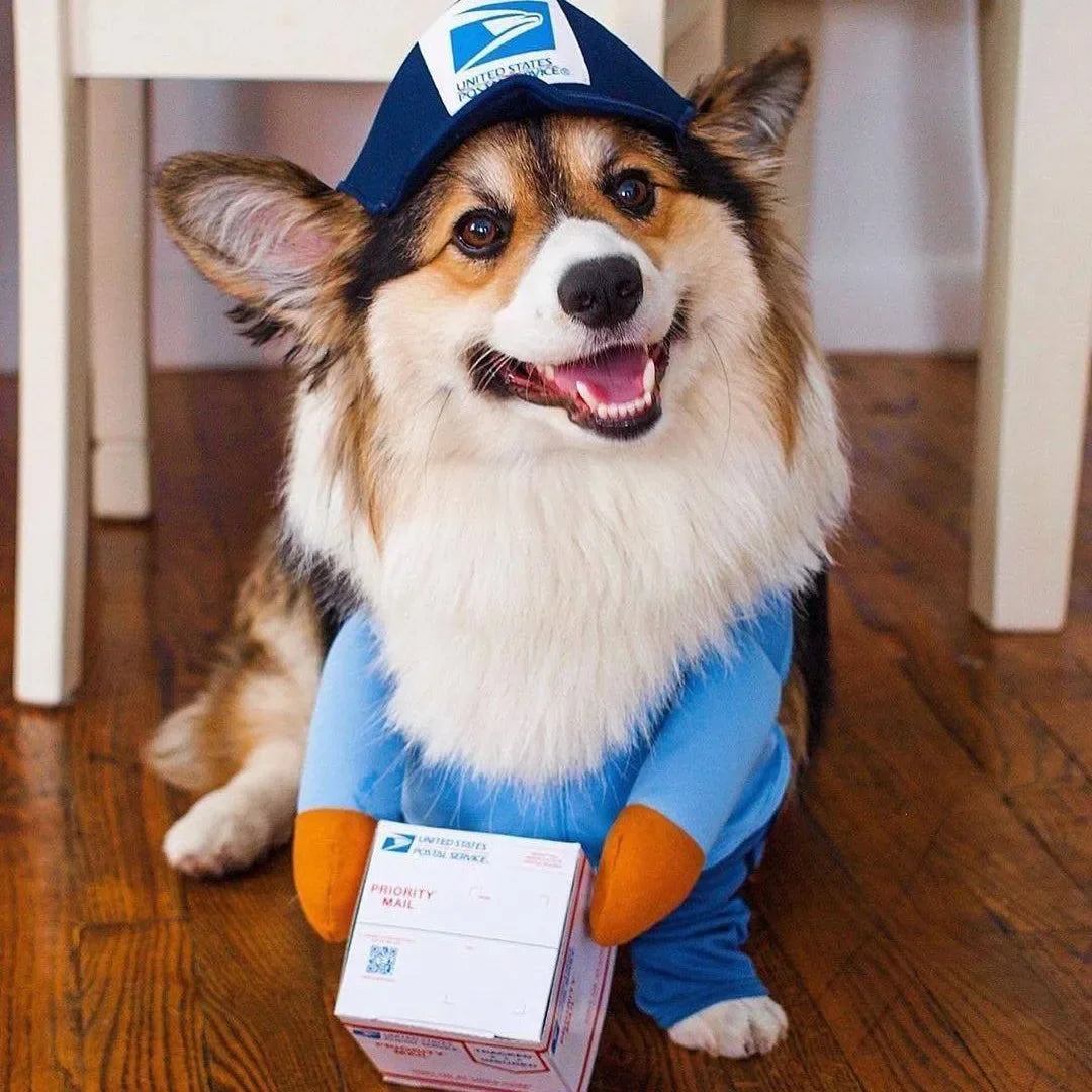 Dress Up- Pet Postal Outfit