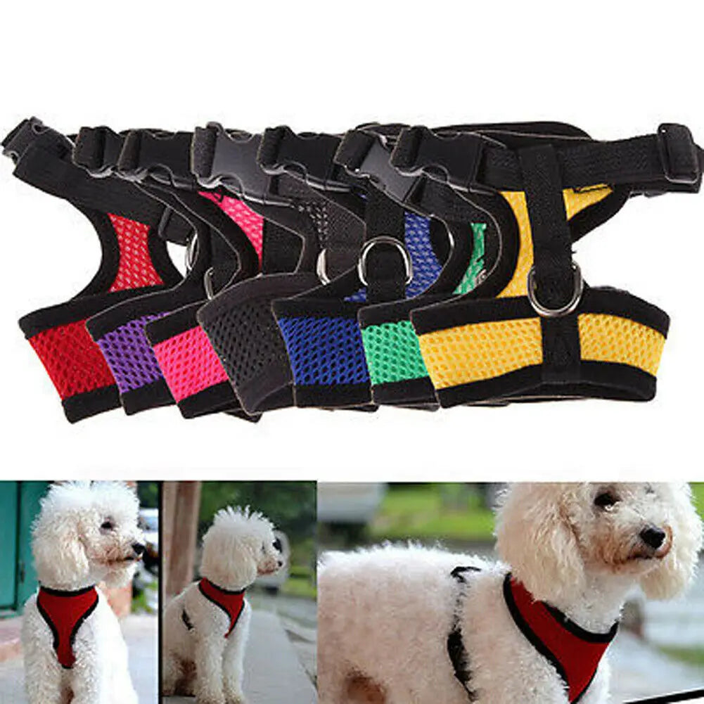Dog Puppy Breathable Mesh Harness