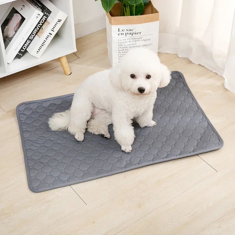Reusable Absorbent Puppy Training Pad
