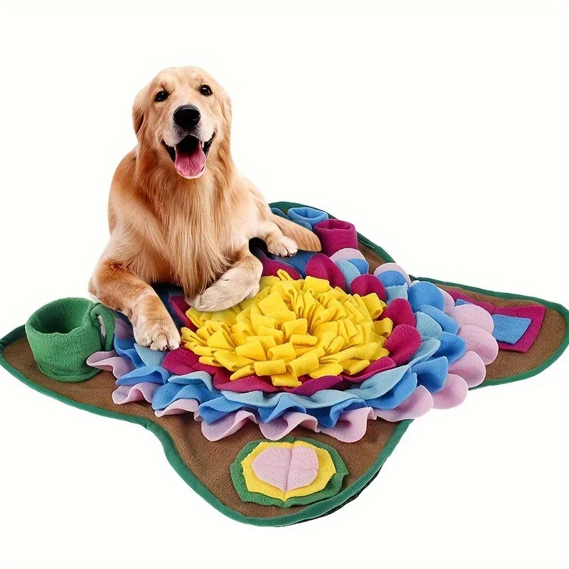 Pet Training Slow Feed Mat
