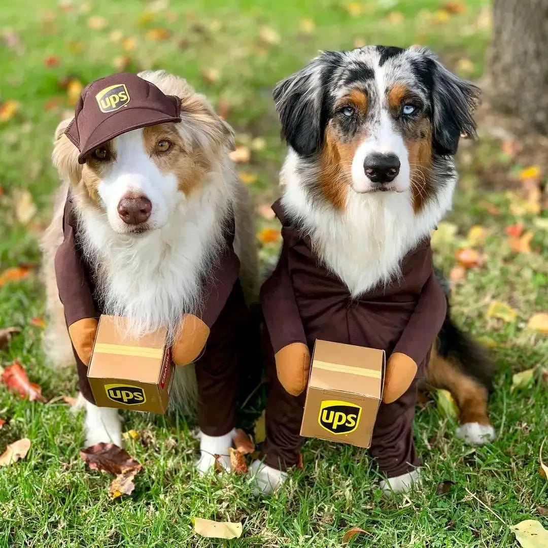 Dress Up- Pet Postal Outfit