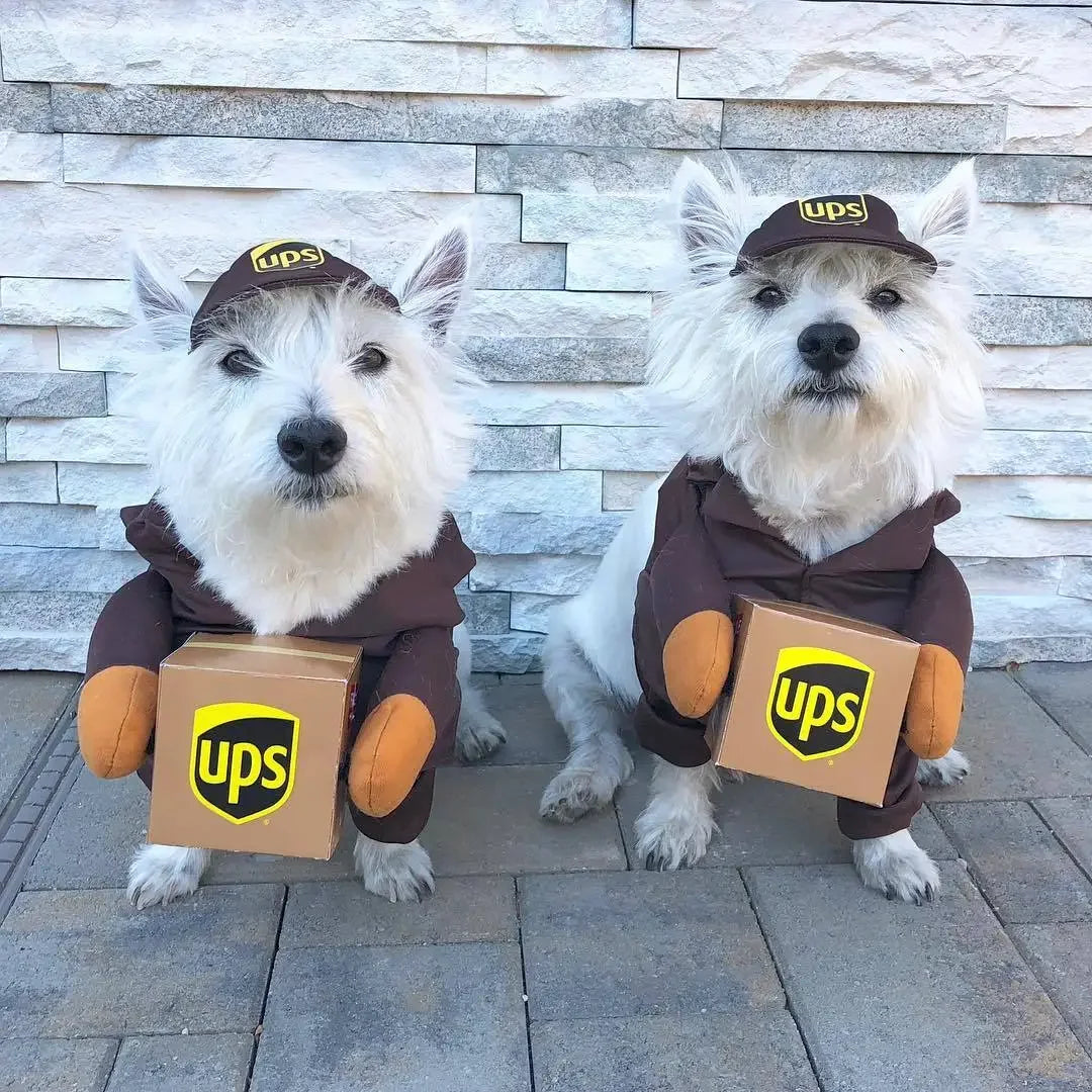 Dress Up- Pet Postal Outfit