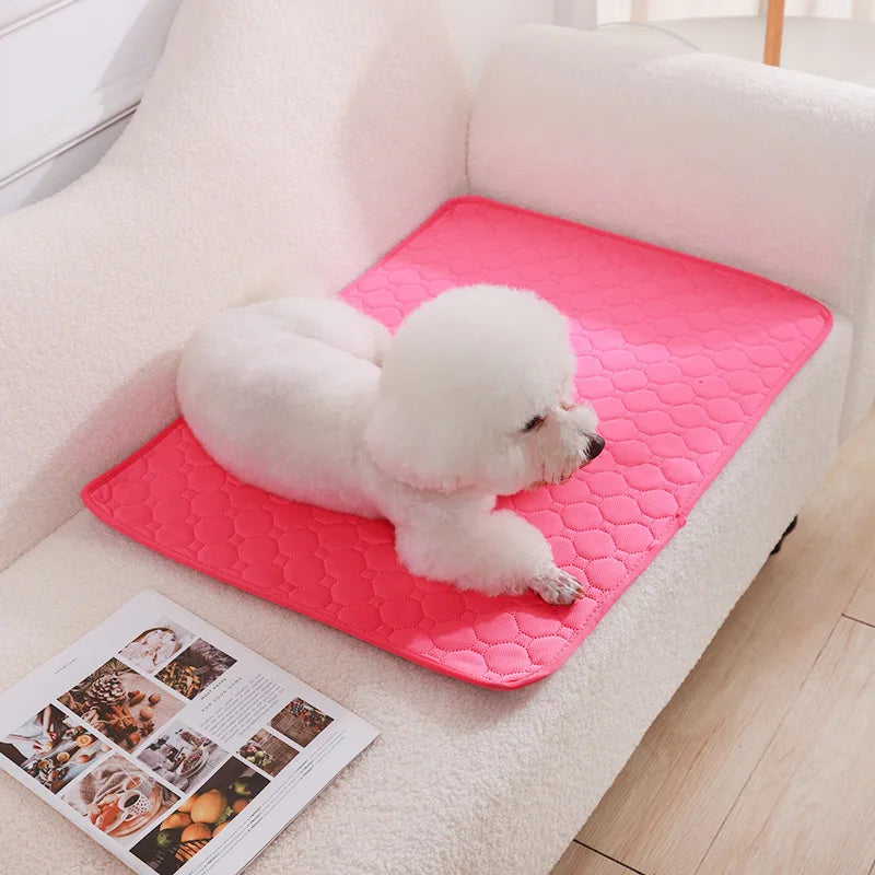 Reusable Absorbent Puppy Training Pad