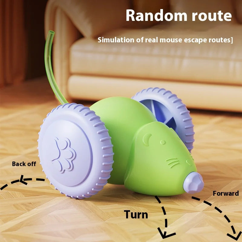 Rechargeable Mouse Chase Toy