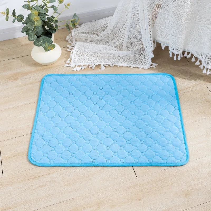 Reusable Absorbent Puppy Training Pad