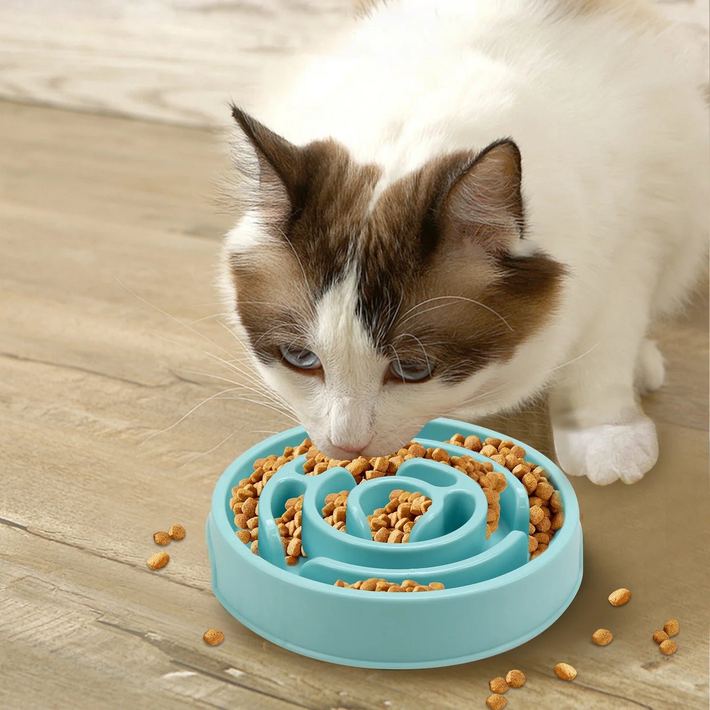 Pet Slow Feeding Puzzel Bowl