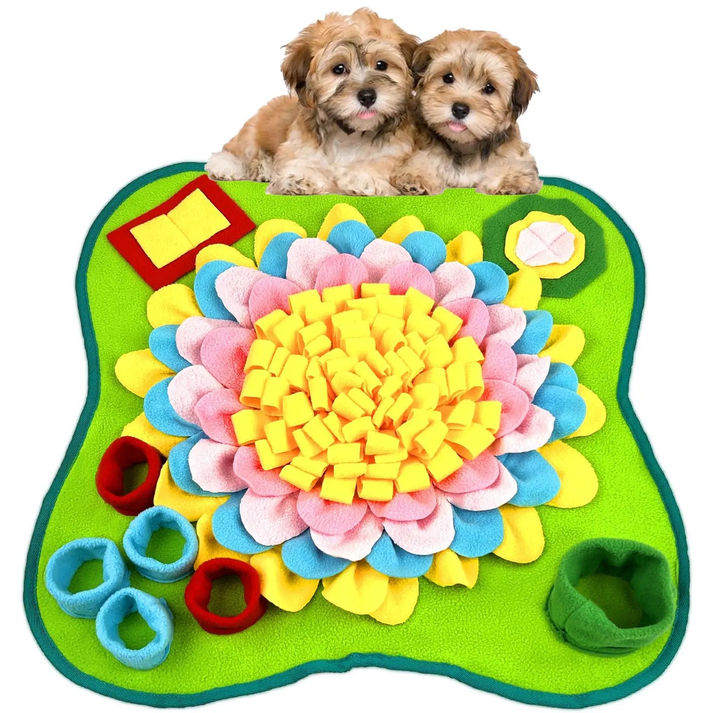 Pet Training Slow Feed Mat