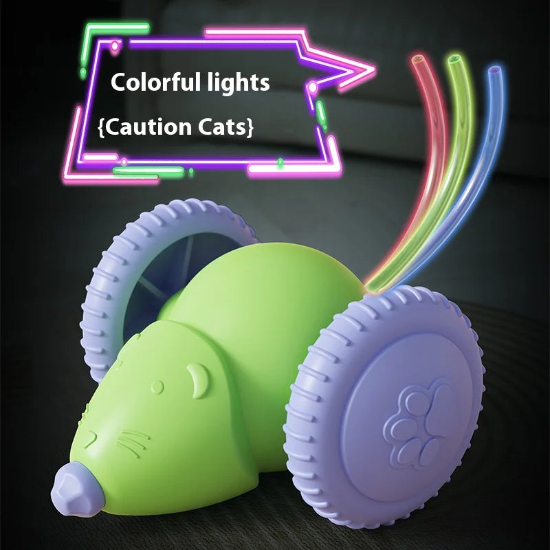 Rechargeable Mouse Chase Toy