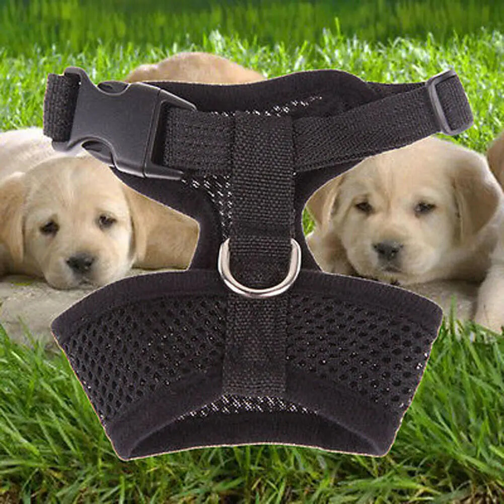 Dog Puppy Breathable Mesh Harness