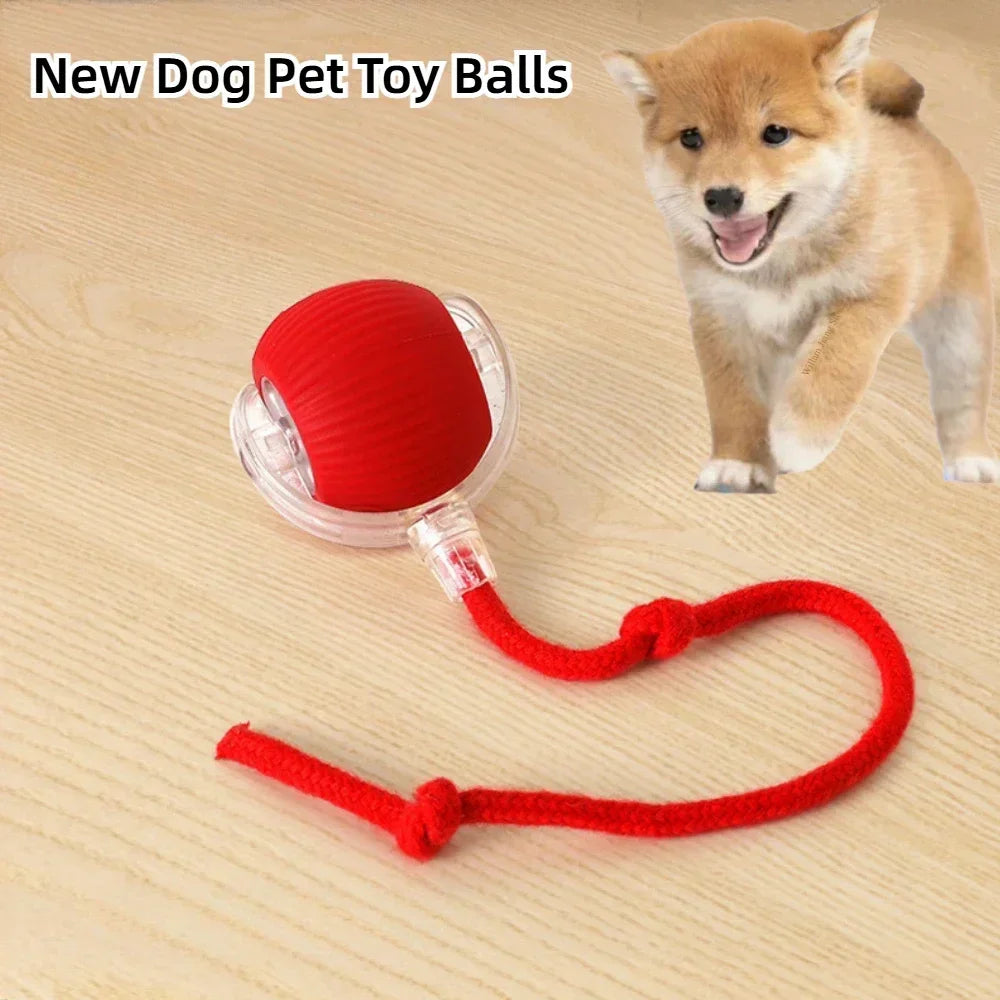 Rechargeable Pet Chase Toy