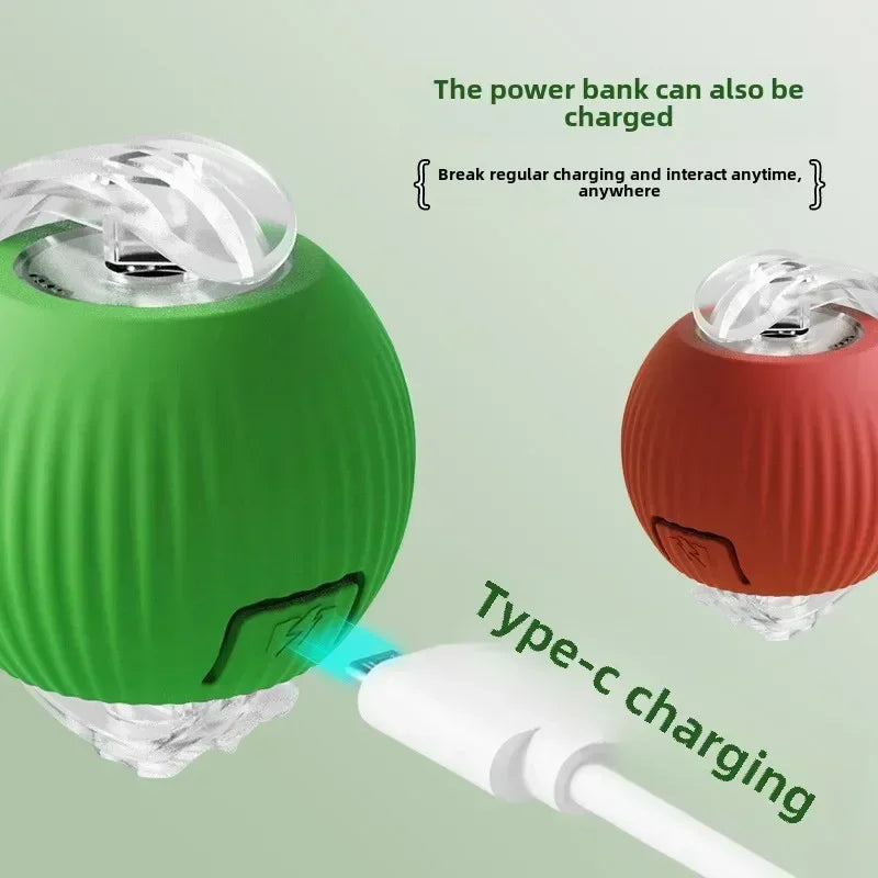 Rechargeable Pet Chase Toy