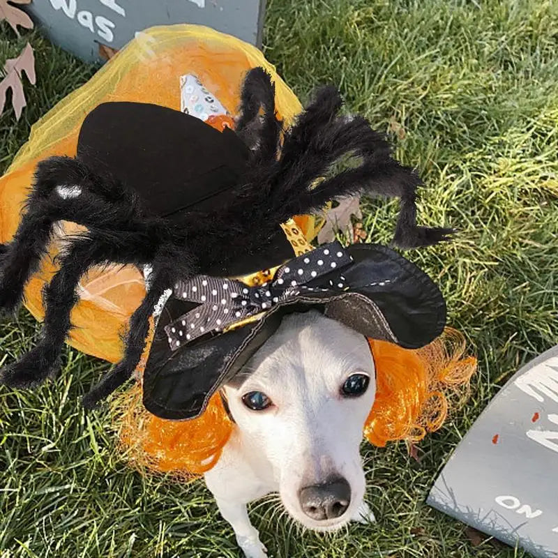 Spider Costume For Pet Cosplay Outfit