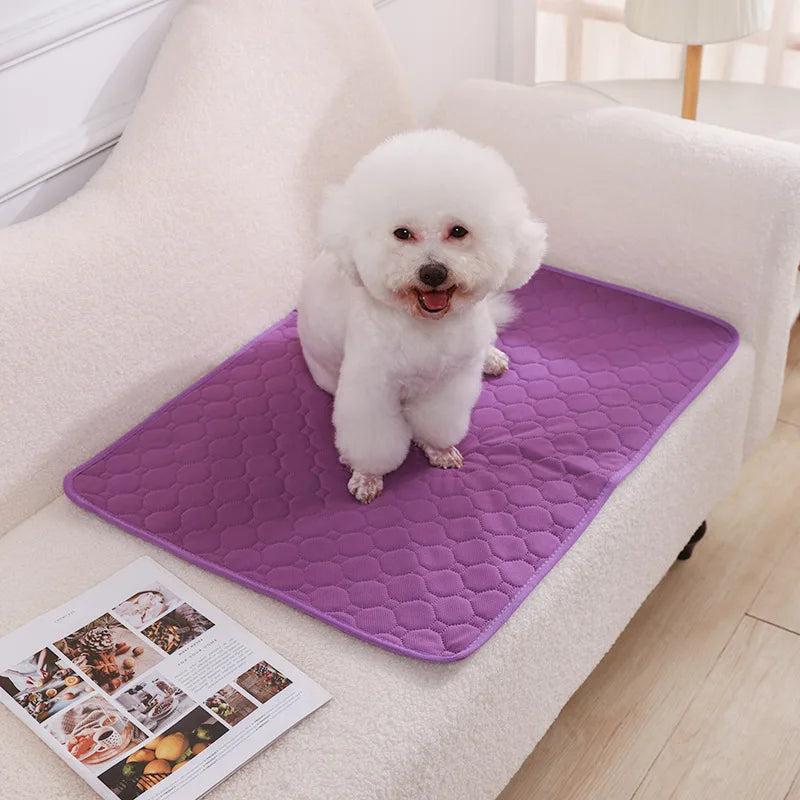 Reusable Absorbent Puppy Training Pad