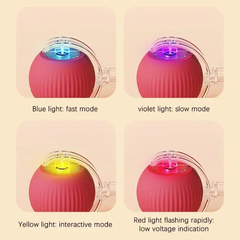 Rechargeable Pet Chase Toy