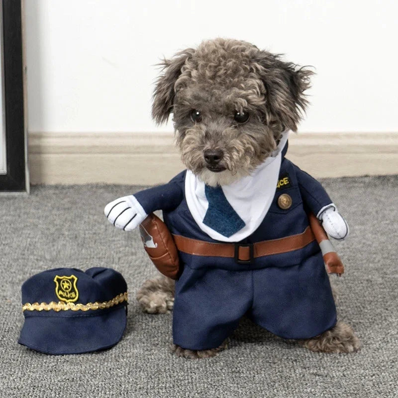 Funny Pet Costume & Cosplay