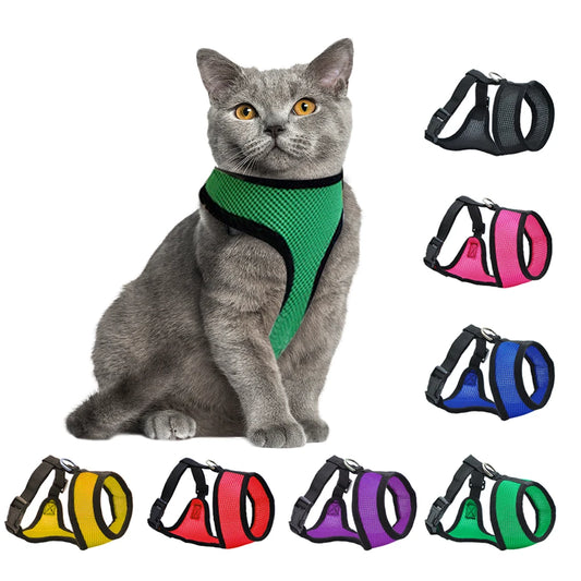 Adjustable Mesh Harness
